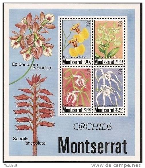 MONTSERRAT - 1985 Orchids Souvenir Sheet. Scott 557a. MNH ** - Montserrat