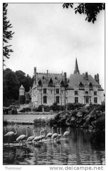 76  -  PARC ZOOLOGIQUE DE CLERES  - Façade Du Chateau Et Flaments Ross .  - SMD   .- BELLE CARTE PHOTO  - - Clères