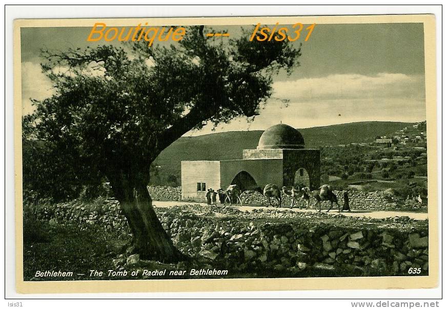 Palestine - Animaux - Chameaux - RF22060 - Bethlehem  -  Le Tombeau De Rachel  - Bon  état - Palestine