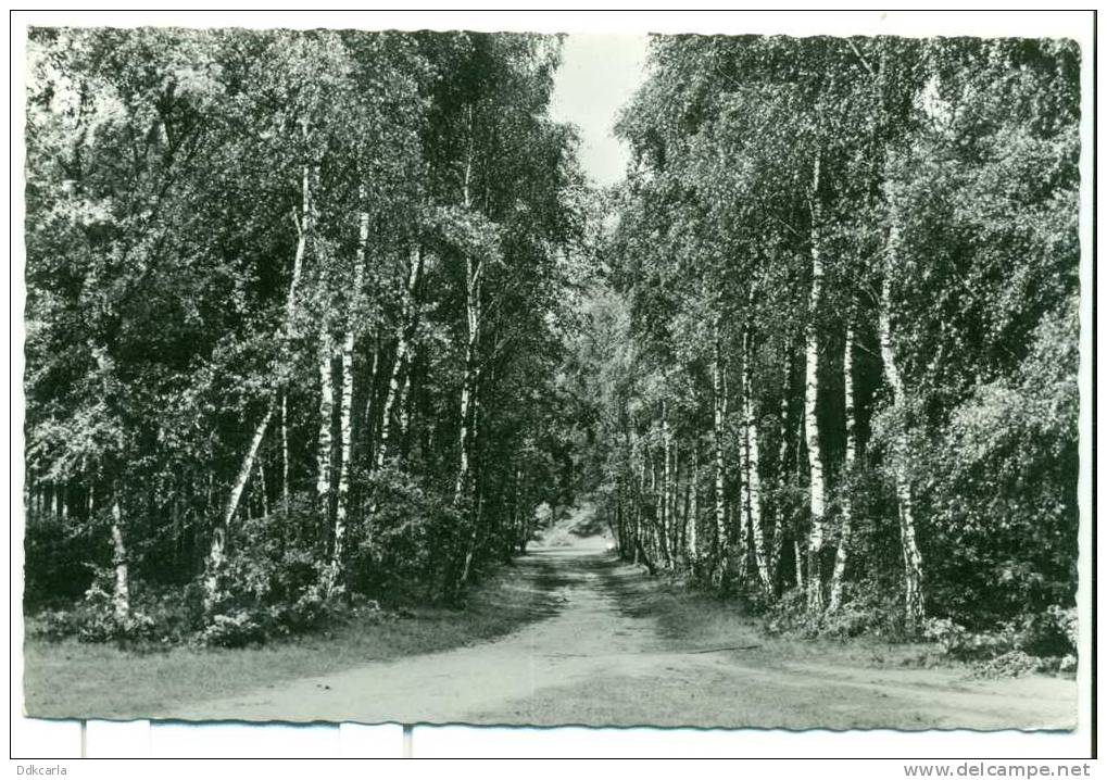 Koersel - Wandeldreef Aan 't Fonteintje - Beringen