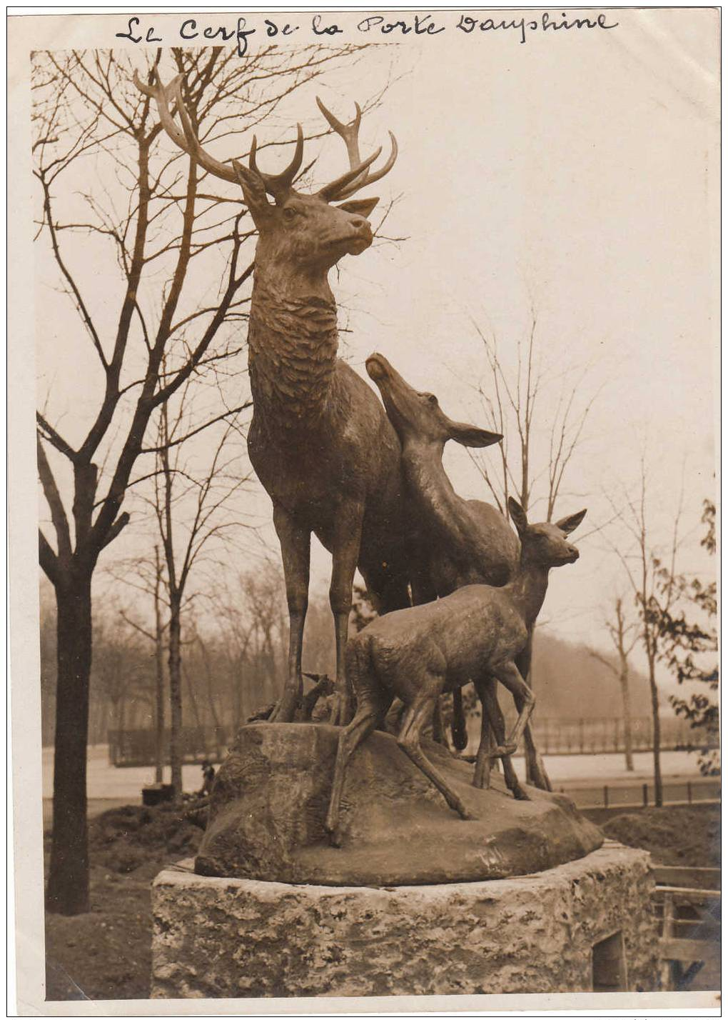 Le Cerf De La Porte Dauphine  Photo 18/13 Cms - Autres & Non Classés