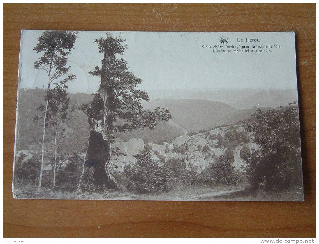 Le Hérou - Vieux Chêne Foudroyé Pour La Troisième Fois / Anno 1931 ( Zie Foto Details ) !! - Houffalize