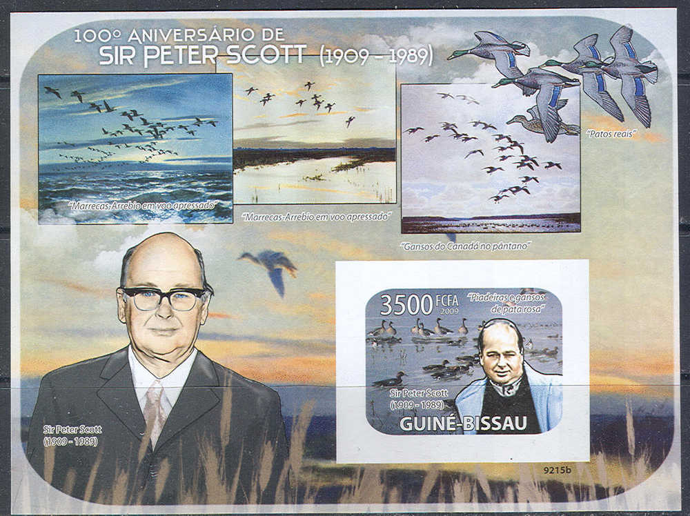 A0415 Fauna Birds Sir Peter Scott 2009 Sheet+S/s MNH ** Imperf Imp - Marine Web-footed Birds