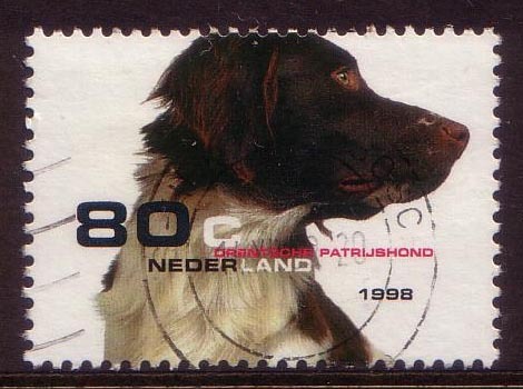 1998 - Nederland Domestic Animals 80c DOG Stamp FU - Oblitérés