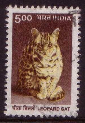 2000 - India National Heritage Definitives 5r LEOPARD CAT Stamp FU - Gebruikt