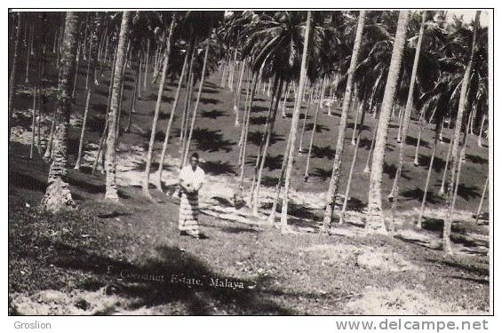 MALAYA COCOANUT ESTATE (CARTE PHOTO AVEC PLANTATION ET PETITE ANIMATION) - Malaysia