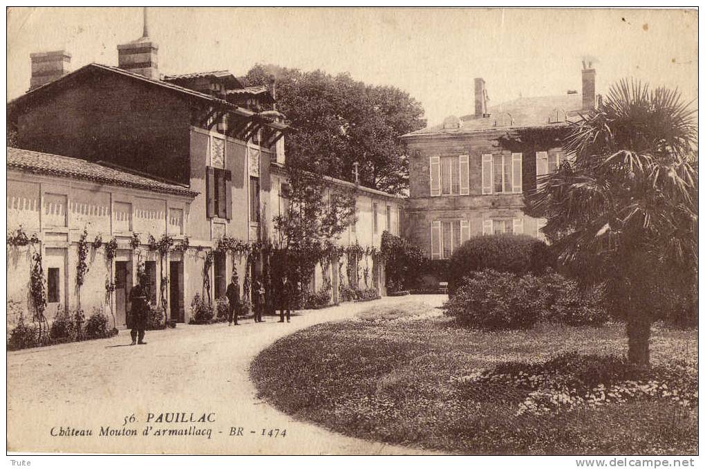 PAUILLAC CHATEAU MOUTON D ARMAILLACQ ANIMEE - Pauillac