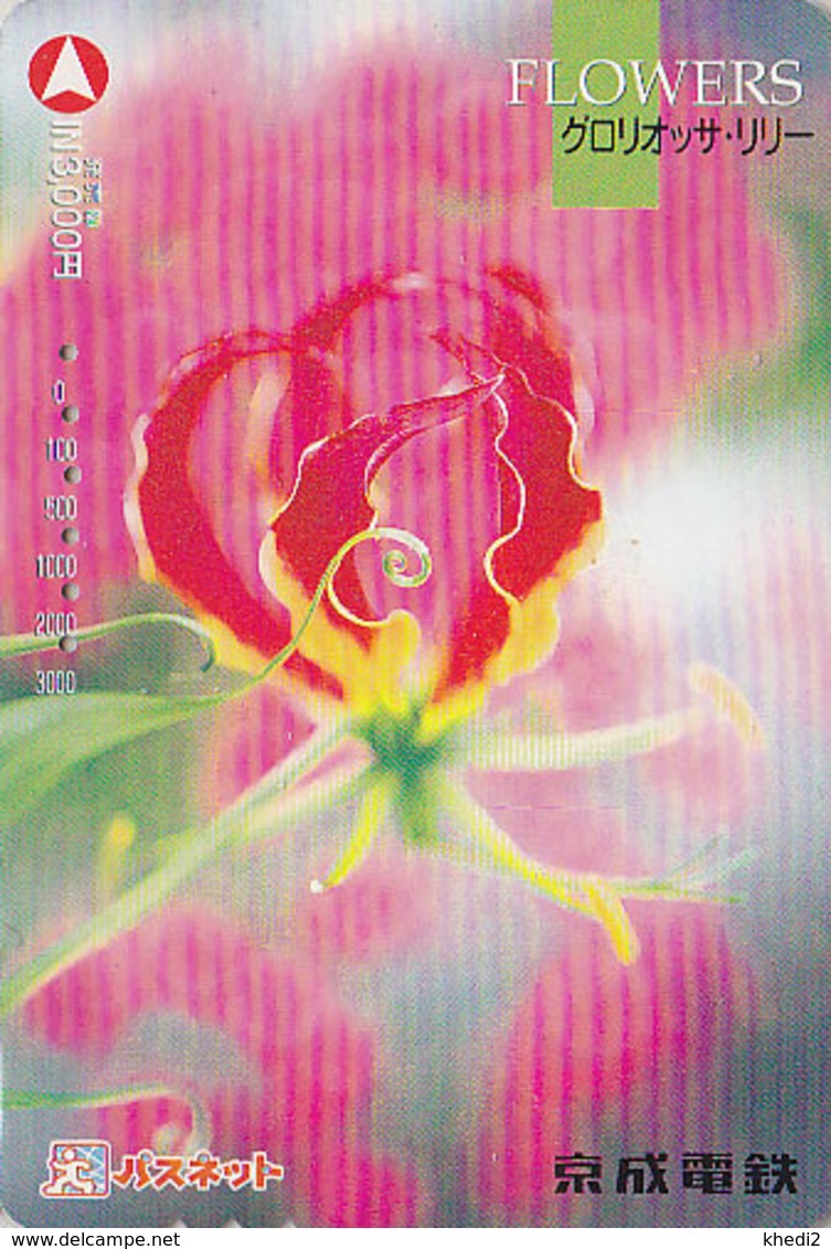 Carte Japon - Série FLOWERS / 18 - FLEUR / LYS De MALABAR - FLOWER / GLORIOSA LILY Japan Card -  Blume Karte - 620 - Fleurs