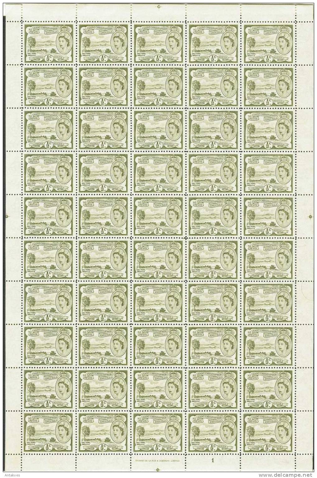 St.Christopher Nevis Anguilla  1954 1/2c. Landscape Full Sheet Of 60 MNH - St.Kitts Und Nevis ( 1983-...)