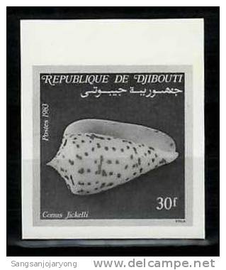 Photo Ssay, Djibouti Sc564 Sea Shell - Coneshells