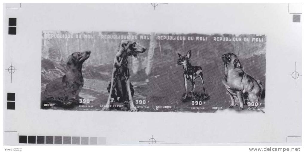 Mali 1998. Set Of 4 Offset Printing Films : Black, Yellow, Cyan & Magenta. Dogs : Dachshund, Persian, Chihuahua, Pug - Dogs