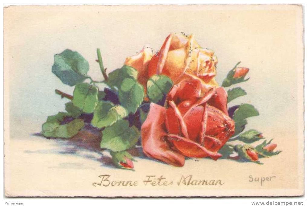 Bonne Fête Maman - Mother's Day