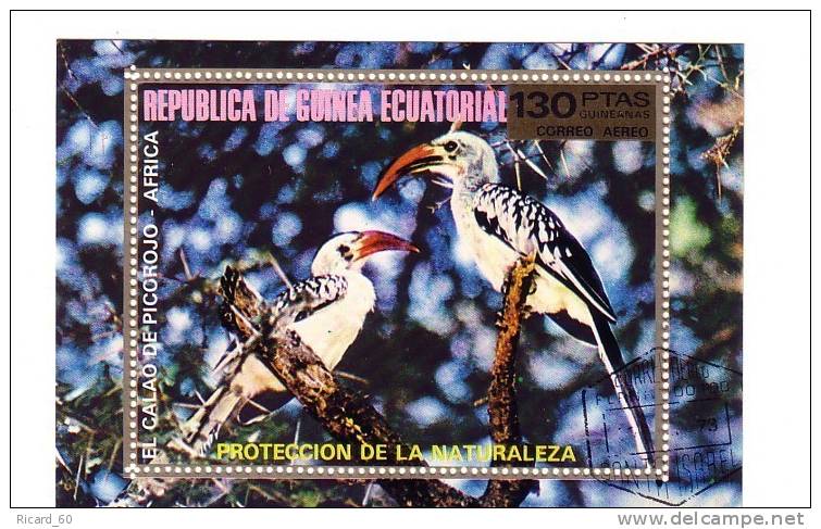 Bloc Oblitéré Dguinée équatoriale, Animaux, Oiseau,calao, Protection De La Nature - Papagayos
