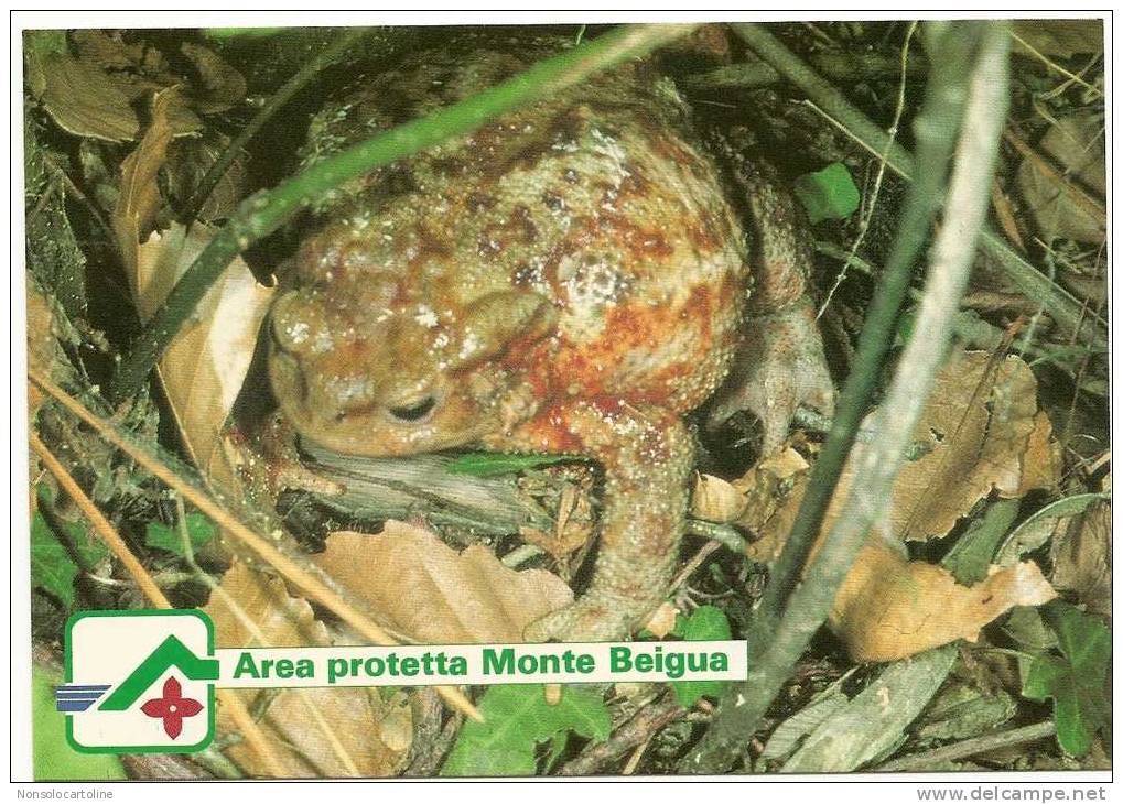 Rospo Area Protetta Monte Beigua - Poissons Et Crustacés