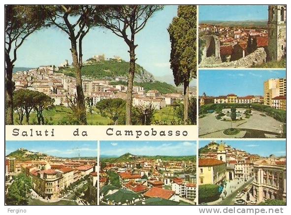 3494/FG/10 - CAMPOBASSO - Saluti Da, Con Vedutine - Campobasso