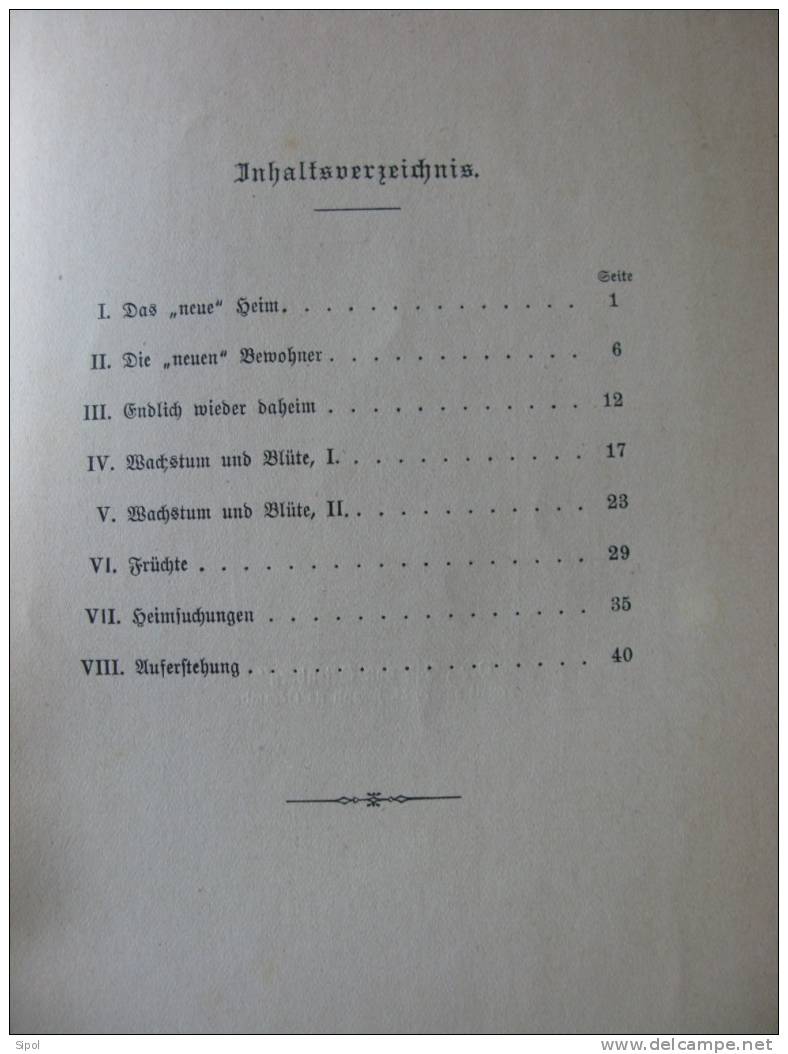 Das Jubiläum In Oelenberg 1825. 29 September. 1925 Von P.Sacerdos Friederich O.Cist.Rel. - Alsace