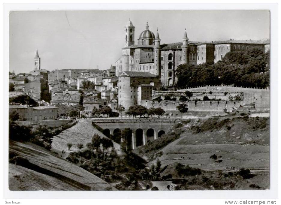 URBINO, PANORAMA, B/N, VG 1963   **** - Urbino