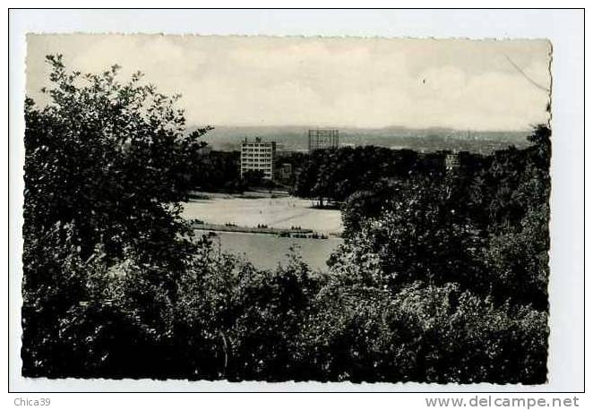 013675  -  BRUXELLES  FOREST  -  Le Parc  -  Grande Plaine De Jeux Et Panorama - Forest - Vorst