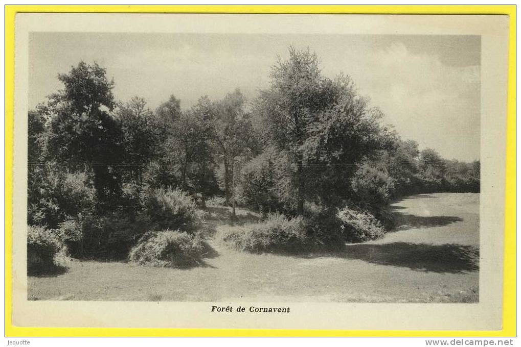 FORET DE CORNAVENT - Rhône - Circulé - Vaux-en-Velin