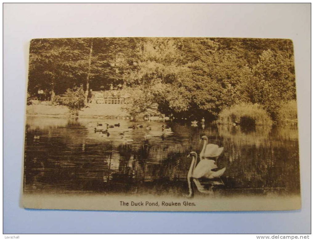 Rouken Glen. -  The Duck Pond. (10 - 7 - 1910) - Renfrewshire