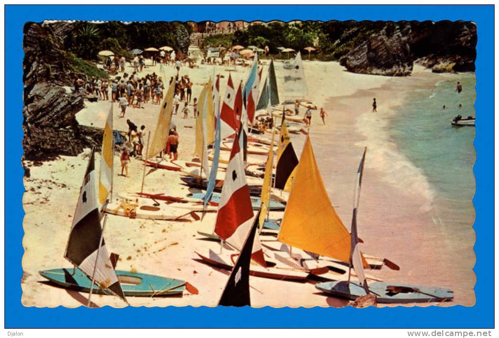 BERMUDA  .Sunfish Sail Boats Gather At  The Reefs Beach Club After A Race. (C.P.S.M.) - Bermudes