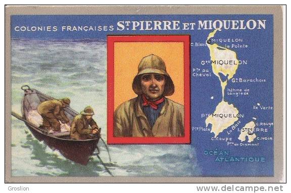 ST PIERRE ET MIQUELON COLONIES FRANCAISES (CARTE PUBLICITE LION NOIR) - Saint-Pierre-et-Miquelon