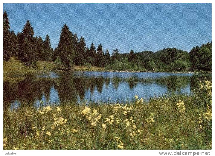 Montfaucon - Etang De Plain-de-Saigne - Montfaucon