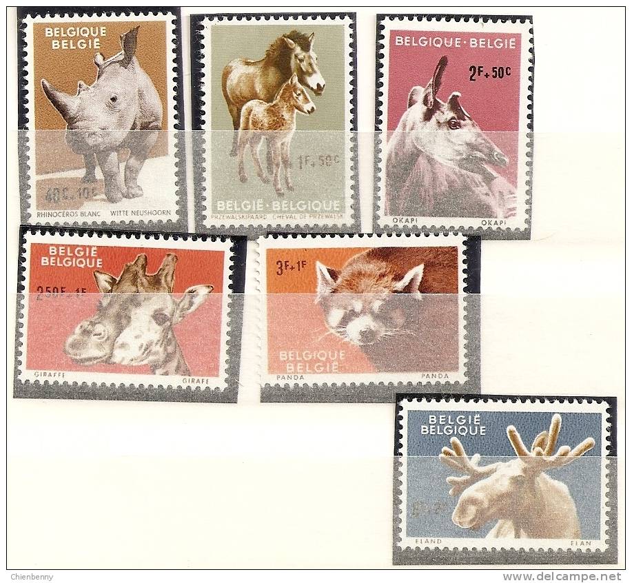 1182/87 ZOO D ANVERS - Storia Postale