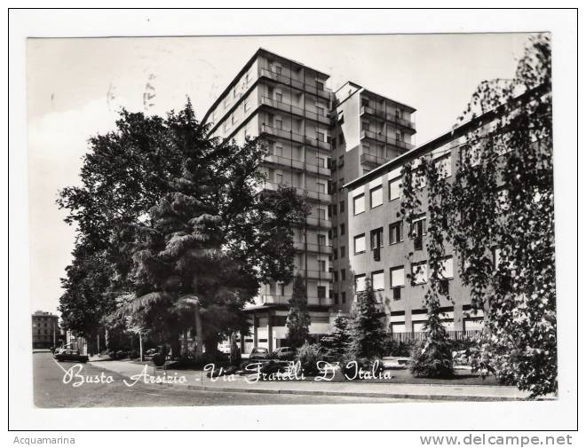 BUSTO ARSIZIO - Via Fratelli D'Italia - Cartolina FG BN V 1964 - Busto Arsizio