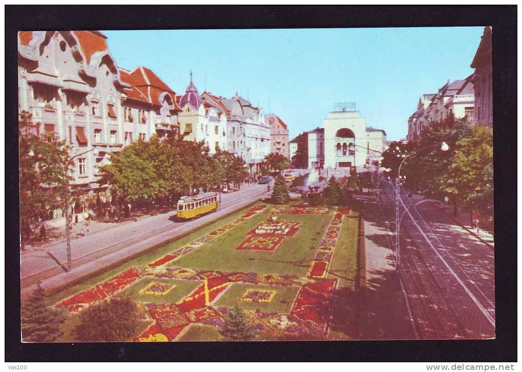 Romania TIMISOARA,POSTCARD  TRAMWAYS TRAM 1974,UNUSED. - Tranvías