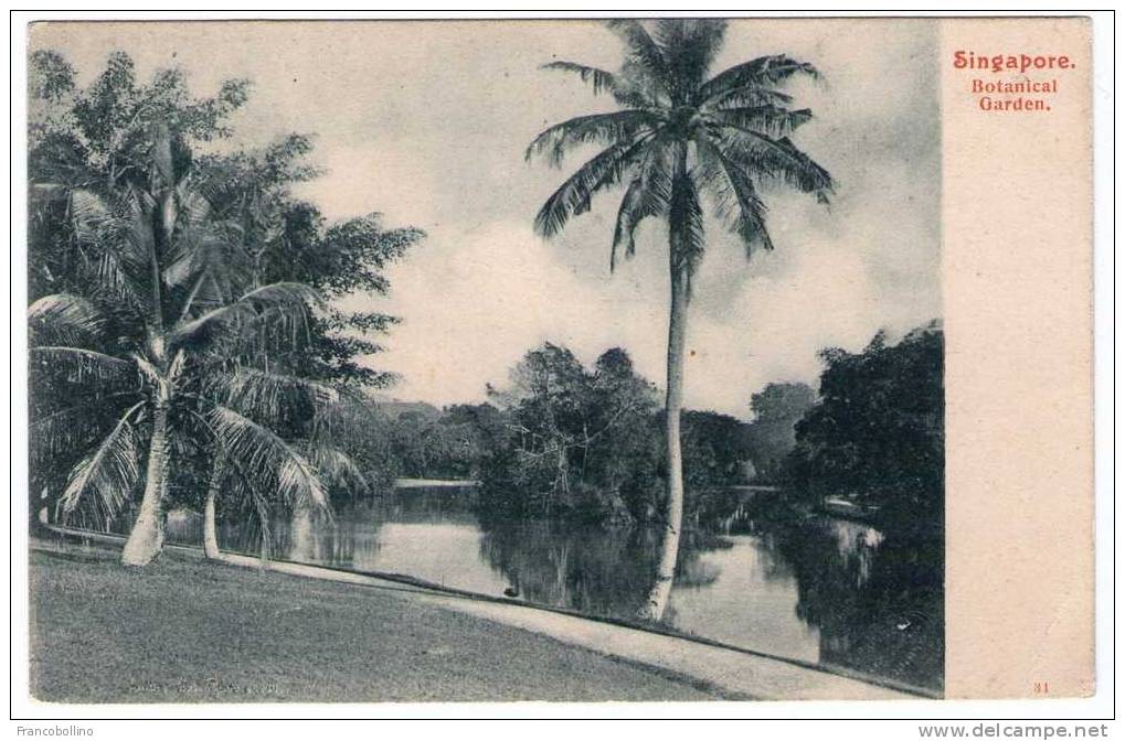 SINGAPORE - BOTANICAL GARDEN - Singapur