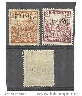 FIUME - 1918/19 OVERPRINT ON BACK - V2757 - Fiume