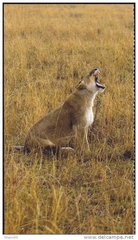 Lion - A Yawning Female Lion At Kenya, China Mini-postcard - Lions