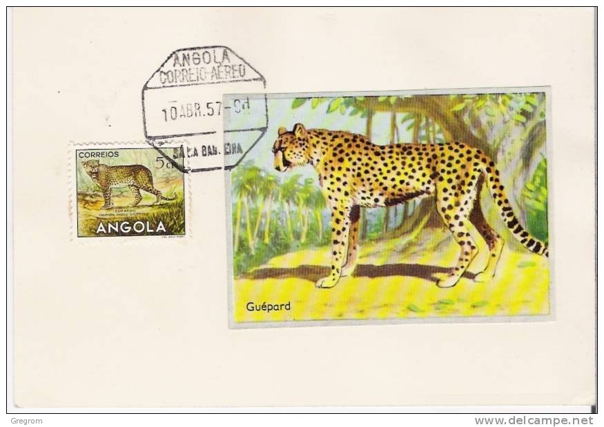 ANGOLA , Yt 357 Léopard ,  Guépard ( Félins ) - Angola