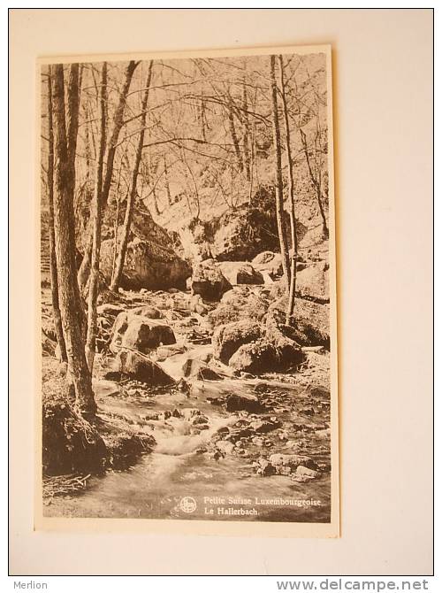 Luxembourg - Petit Suisse Luxembourgeoise -Hallerbach   D69594 - Berdorf