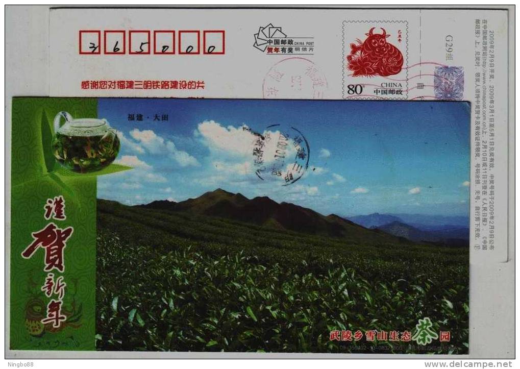 Tea Field,teapot,China 2009 Wuling Snow Mountain Ecological Tea Garden Advertising Pre-stamped Card - Other & Unclassified