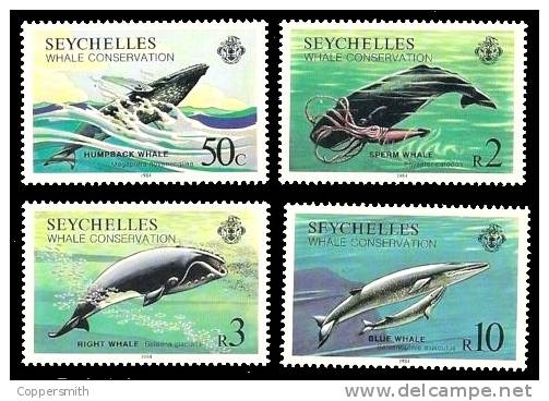 (019) Seychelles  Meerestiere / Marine Life / Animaux Marines / Whales / Baleines / Wale ** / Mnh  Michel 571-74 - Seychellen (1976-...)