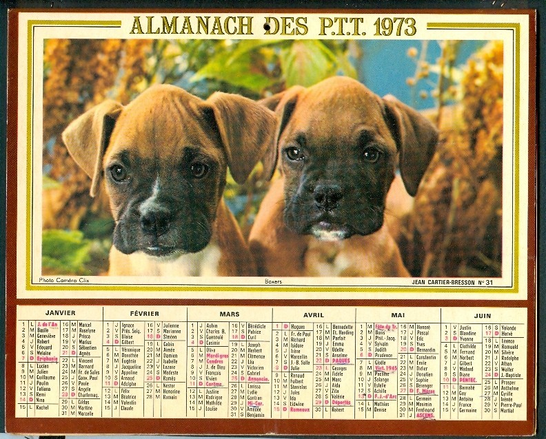 ALMANACH DES P.T.T. 1973, Région Du Nord (59): Lille, Arras (Complet) Communes, Chiens, Boxers, Chats Siamois - Big : 1971-80