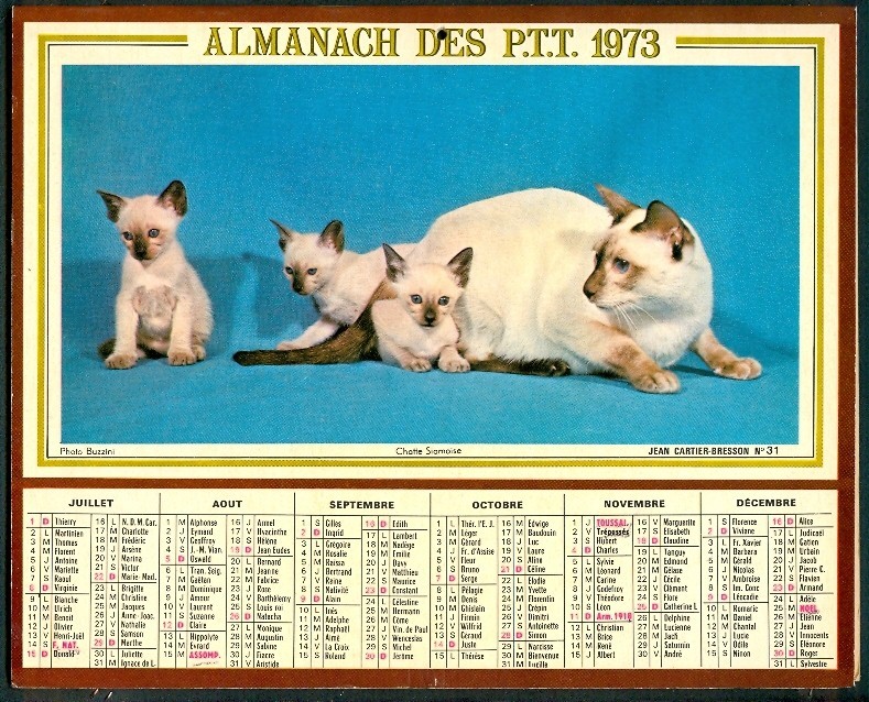 ALMANACH DES P.T.T. 1973, Région Du Nord (59): Lille, Arras (Complet) Communes, Chiens, Boxers, Chats Siamois - Grand Format : 1971-80
