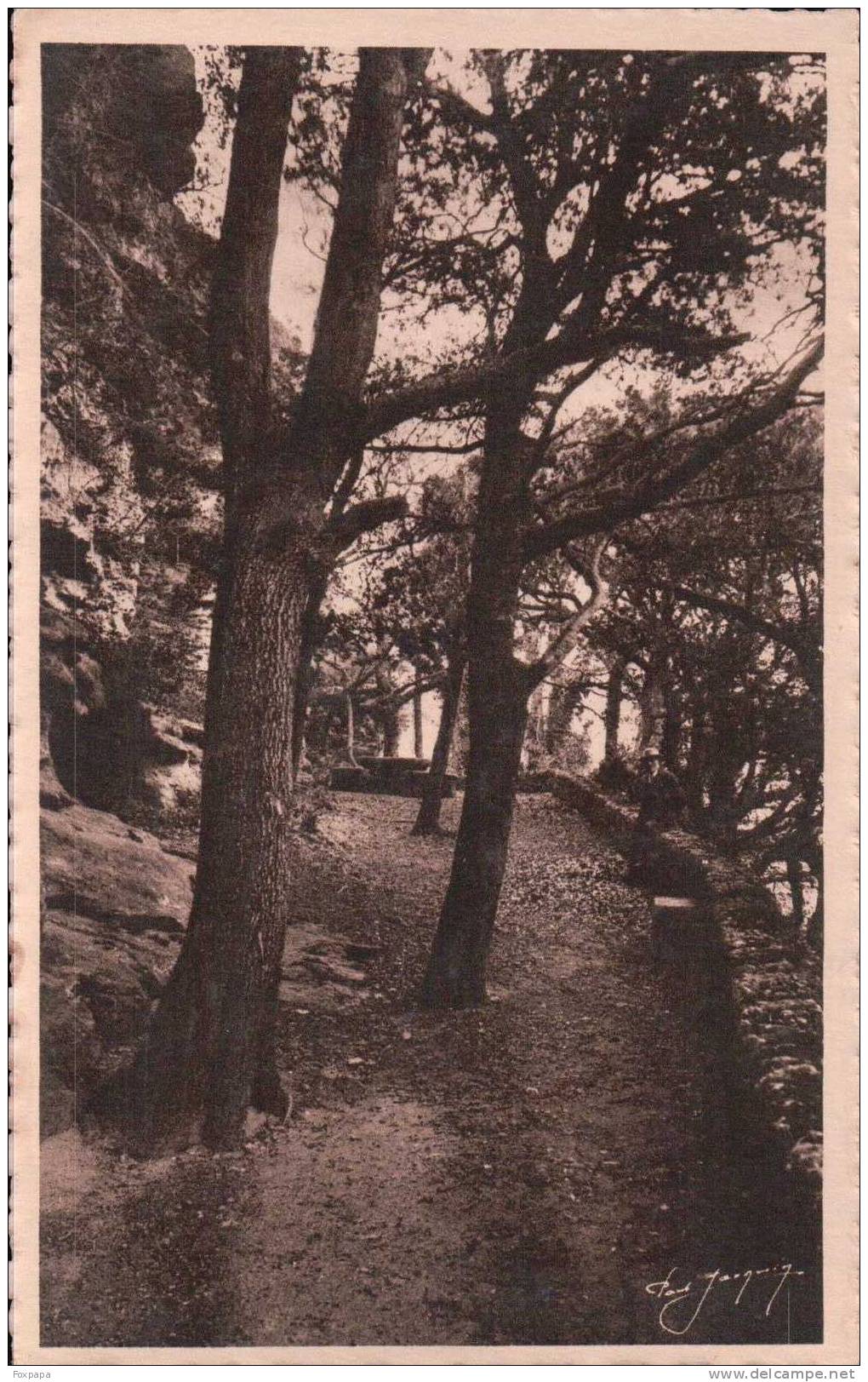 GRIGNAN Sous Bois Conduisant à La Table De Mme De Sévigné - Crest