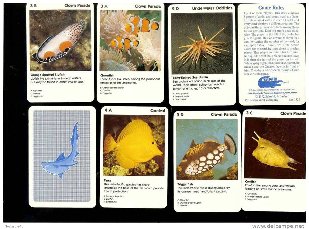 Jeu De 32 Cartes : Mysteries Of The Deep Animal Rummy - Other & Unclassified