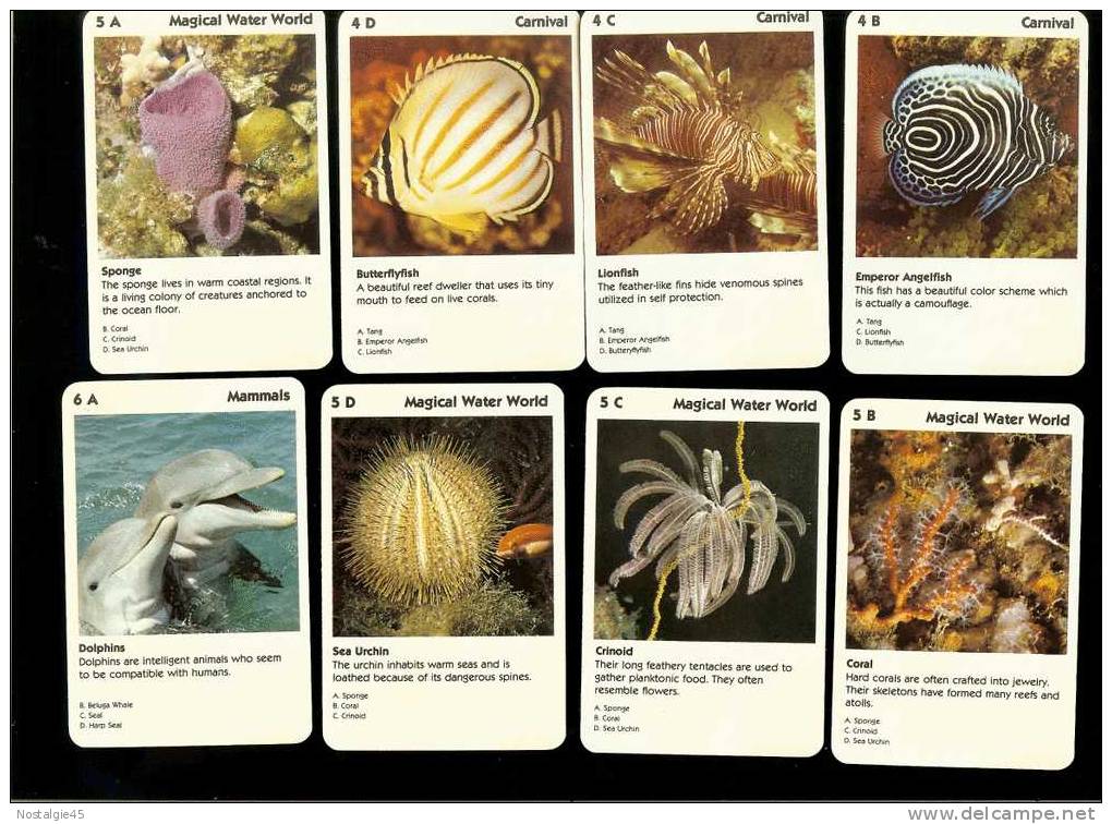 Jeu De 32 Cartes : Mysteries Of The Deep Animal Rummy - Autres & Non Classés