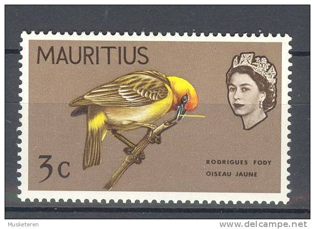 Mauritius 1965 SG. 318    3 C. Bird Rodriguez Fody MNH** - Mauricio (...-1967)