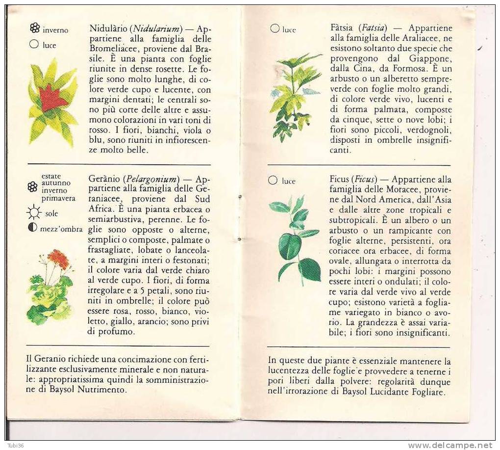 IL GIARDINO IN CASA - BAYSOL - BAYER - CONSIGLI PER LE PIANTE DI APPARTAMENTO  - PAGG. 8 - Altri & Non Classificati