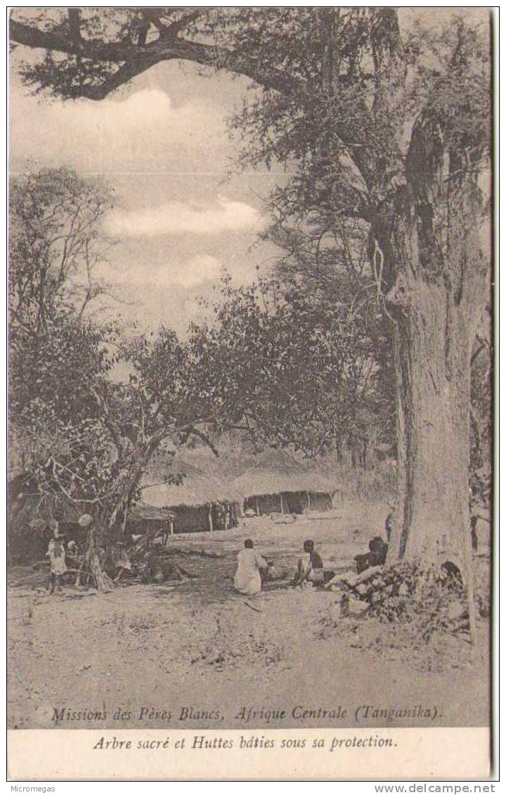 Mission Des Pères Blancs - Afrique Centrale (Tanganika) - Arbre Sacré Et Huttes Bâties Sous Sa Protection - Tanzania