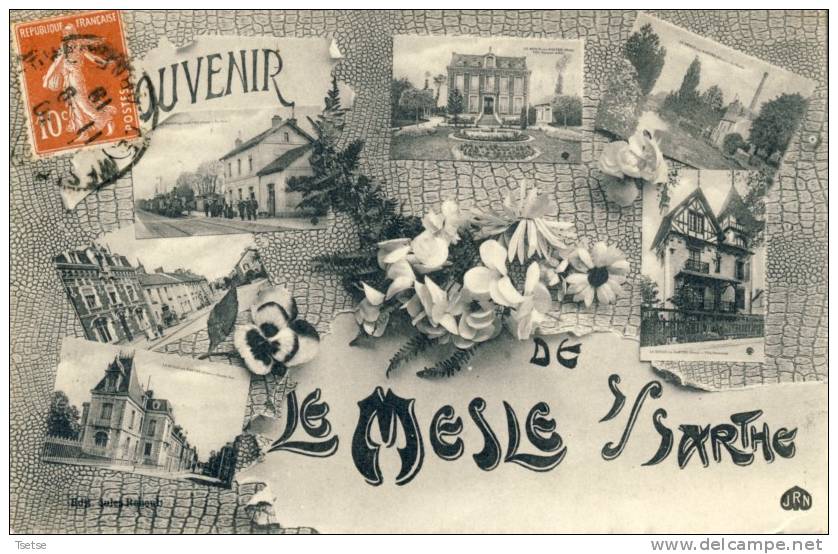 Le Mesle Sur Sarthe  - Souvenir De ... - Jolie Carte Multivues  - 1907 - Le Mêle-sur-Sarthe