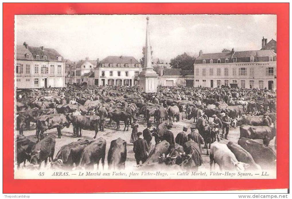 FRANCE ARRAS PAS DE CALAIS LOUIS LEVY LL No.43 Le Marche Aux Vaches Place Victor Hugo Cattle Market MORE ARRAS LISTED - Arras