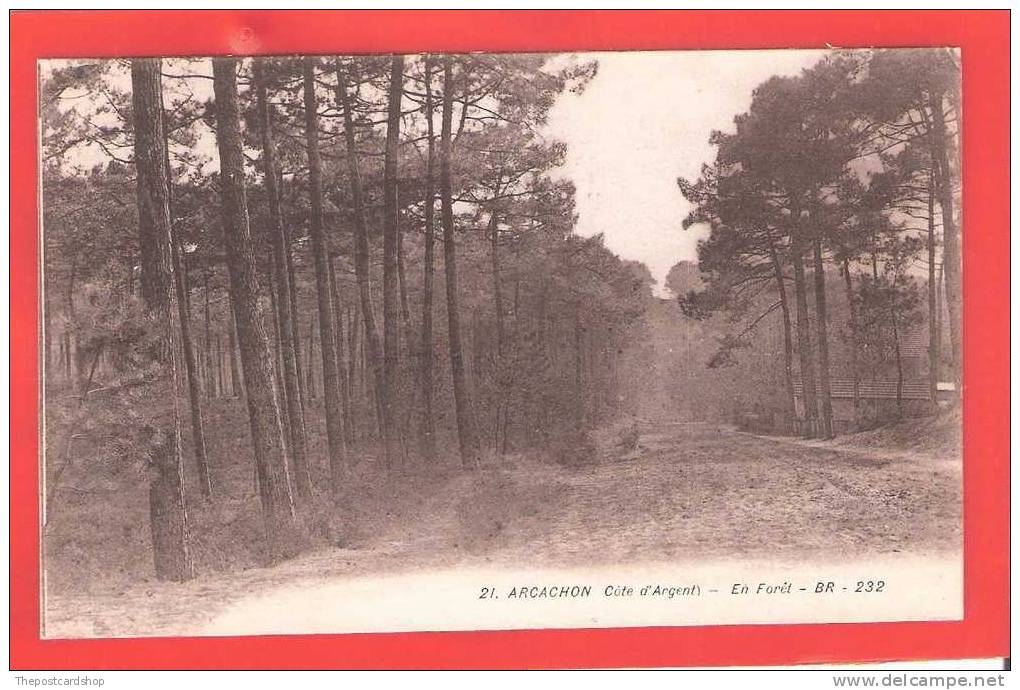 FRANCE No21 Arachon Gironde Cote Argent EN FORET BR 232 BLOE FRERES BORDEAUX MORE ARACHON +france LISTED - Arcachon