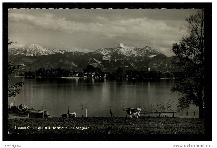 Frauen-Chiemsee Mit Hochfelln U. Hochgern  -  Ansichtskarte Ca.1962  (141) - Traunstein