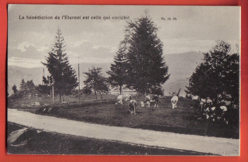 M1114 Troupeau De Vaches Dans Le Jura,lieu à Déterminer.Cachet Bulle 1912.Perrochet-David. Scan Du Dos En Ligne - Bulle